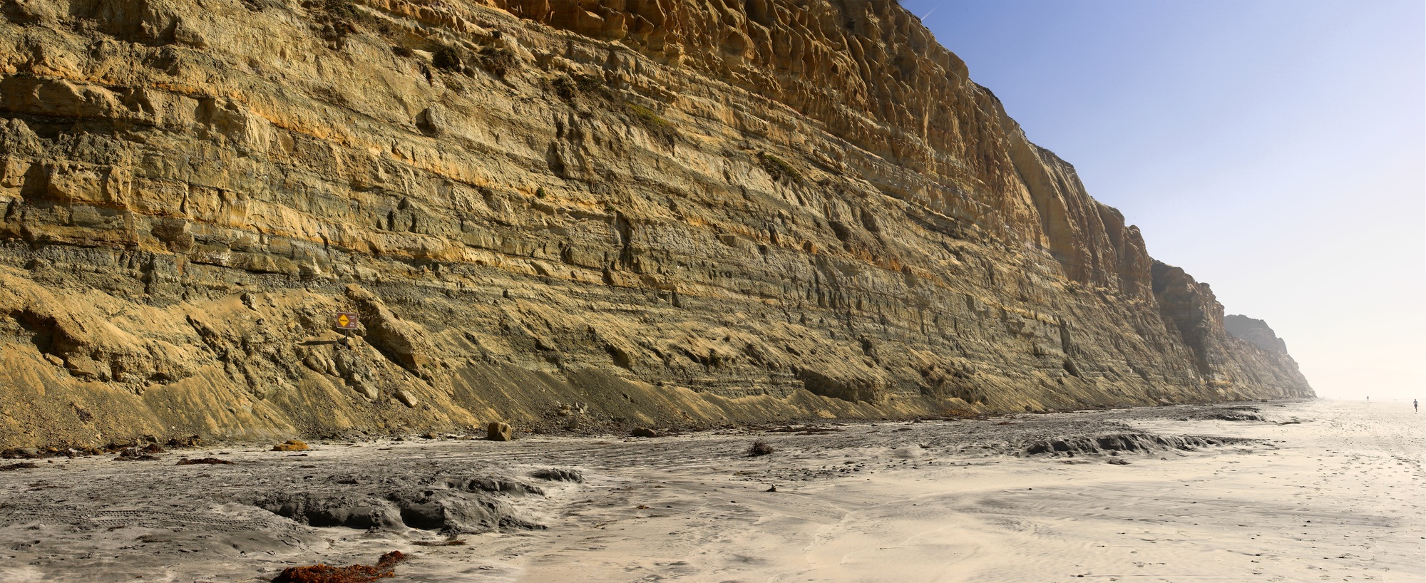 Torrey Pines State Reserve